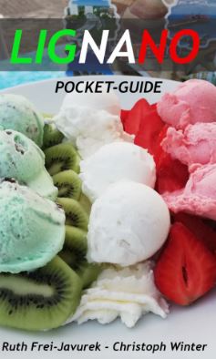 Pocket-Guide