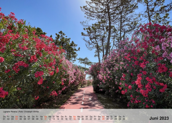 Fotokalender 2023 – Bild 5