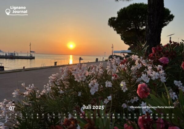 Fotokalender 2025 (Versand ab November 2024) – Bild 8